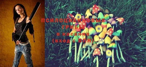 PSILOCYBIN Аркадак