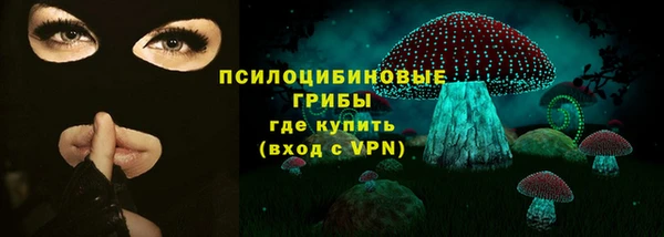 соль ск Арсеньев