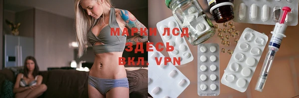 PSILOCYBIN Аркадак